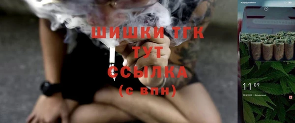 индика Абдулино